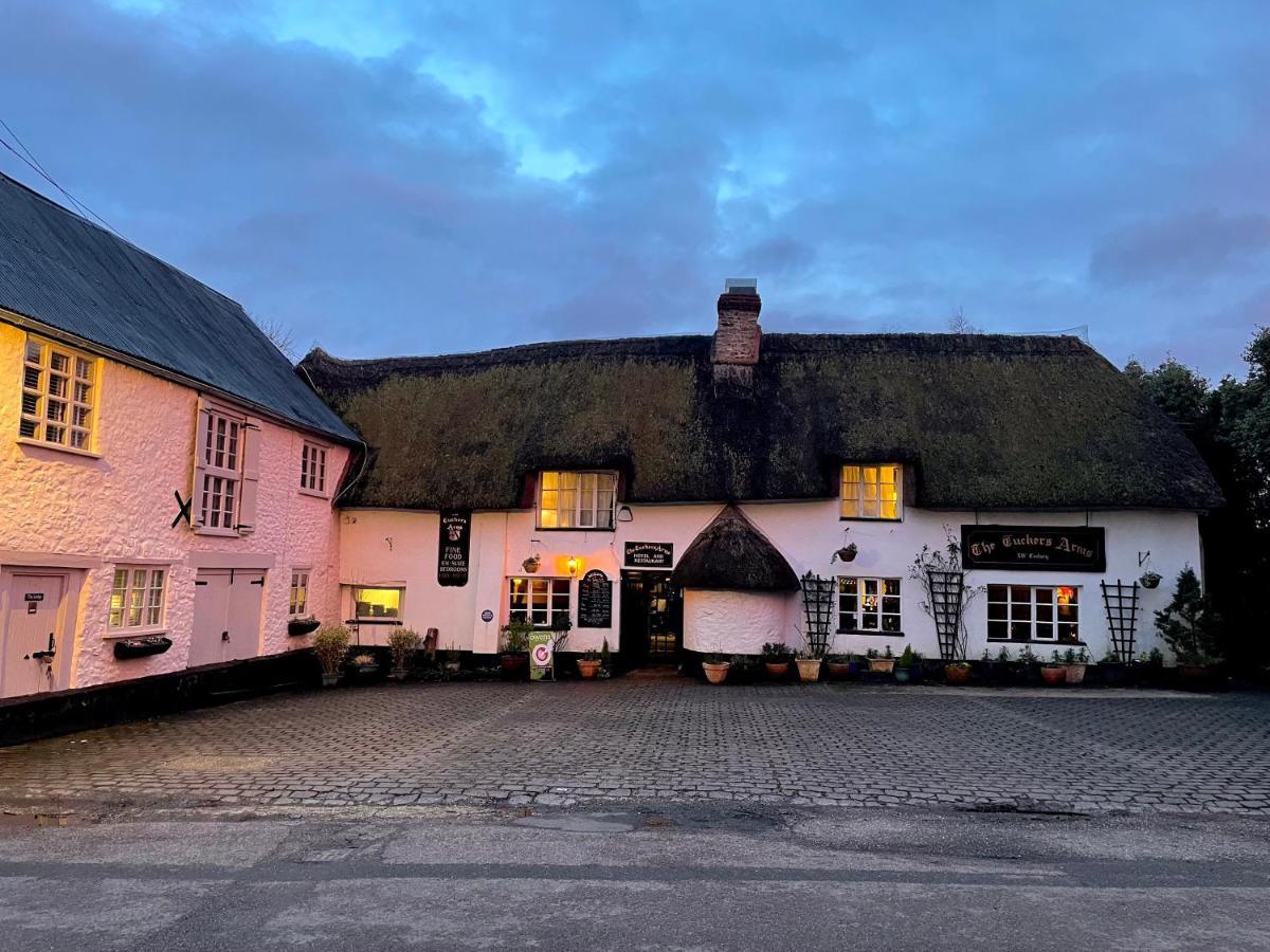 The Tuckers Arms Acomodação com café da manhã Axminster Exterior foto